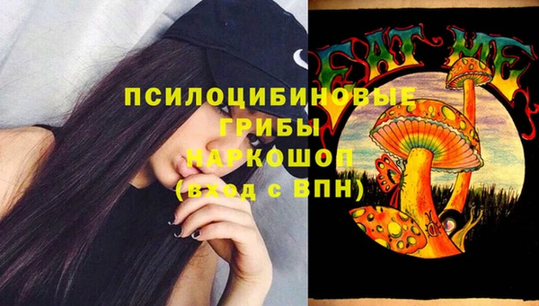 spice Арсеньев