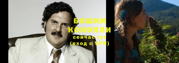 spice Арсеньев