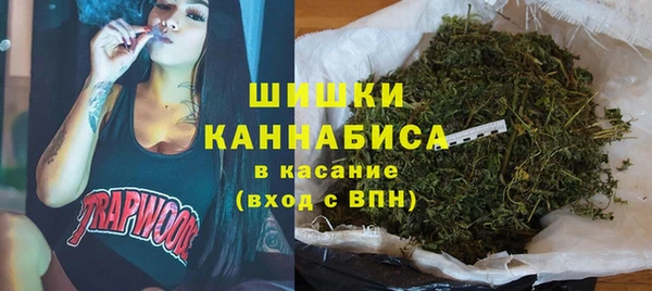spice Арсеньев