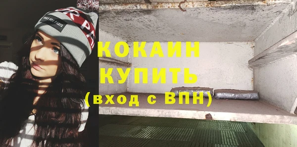 гашик Покровск