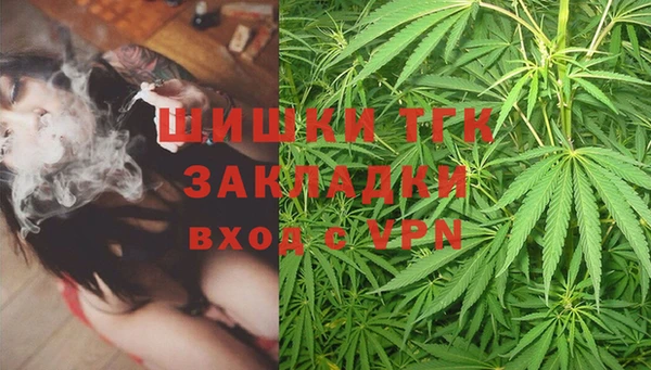spice Арсеньев