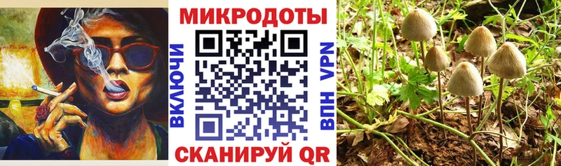 площадка как зайти  Сурск  Галлюциногенные грибы прущие грибы  купить  
